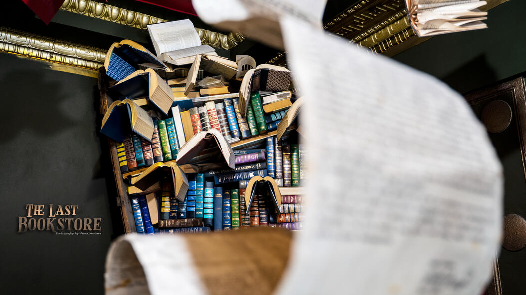 The last bookstore
