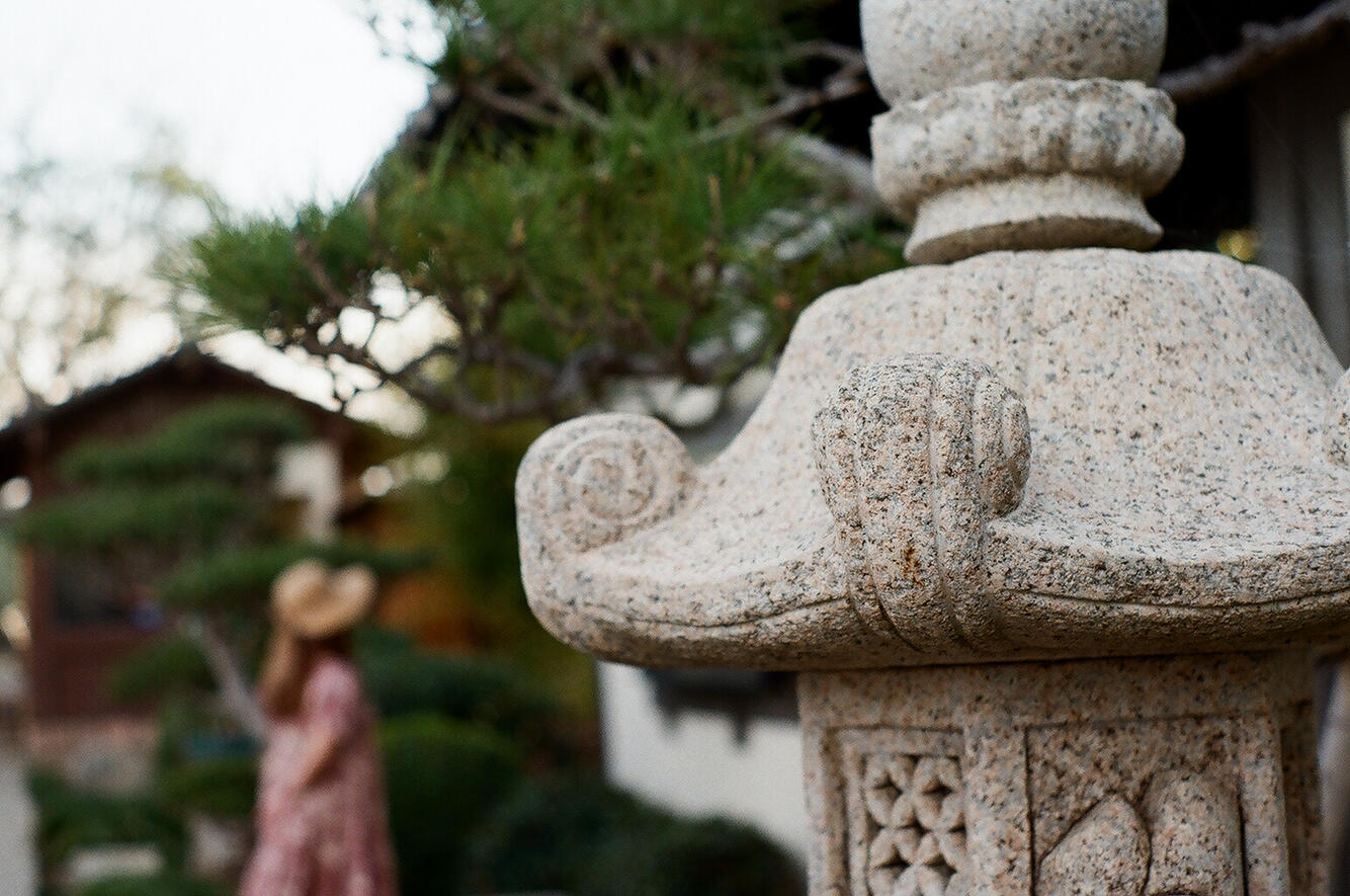 Earl Burns Japanese Garden #1