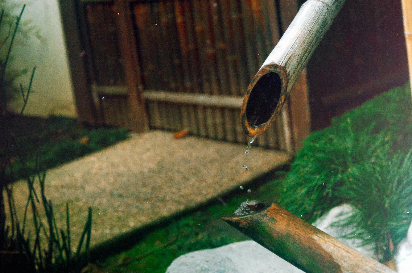 Japanese Friendship Garden San Diego 2