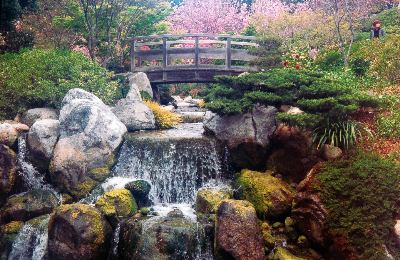 Japanese Friendship Garden San Diego